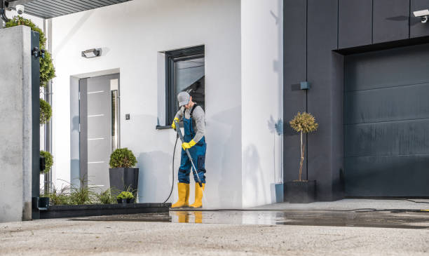 Best Soft Washing  in George, IA